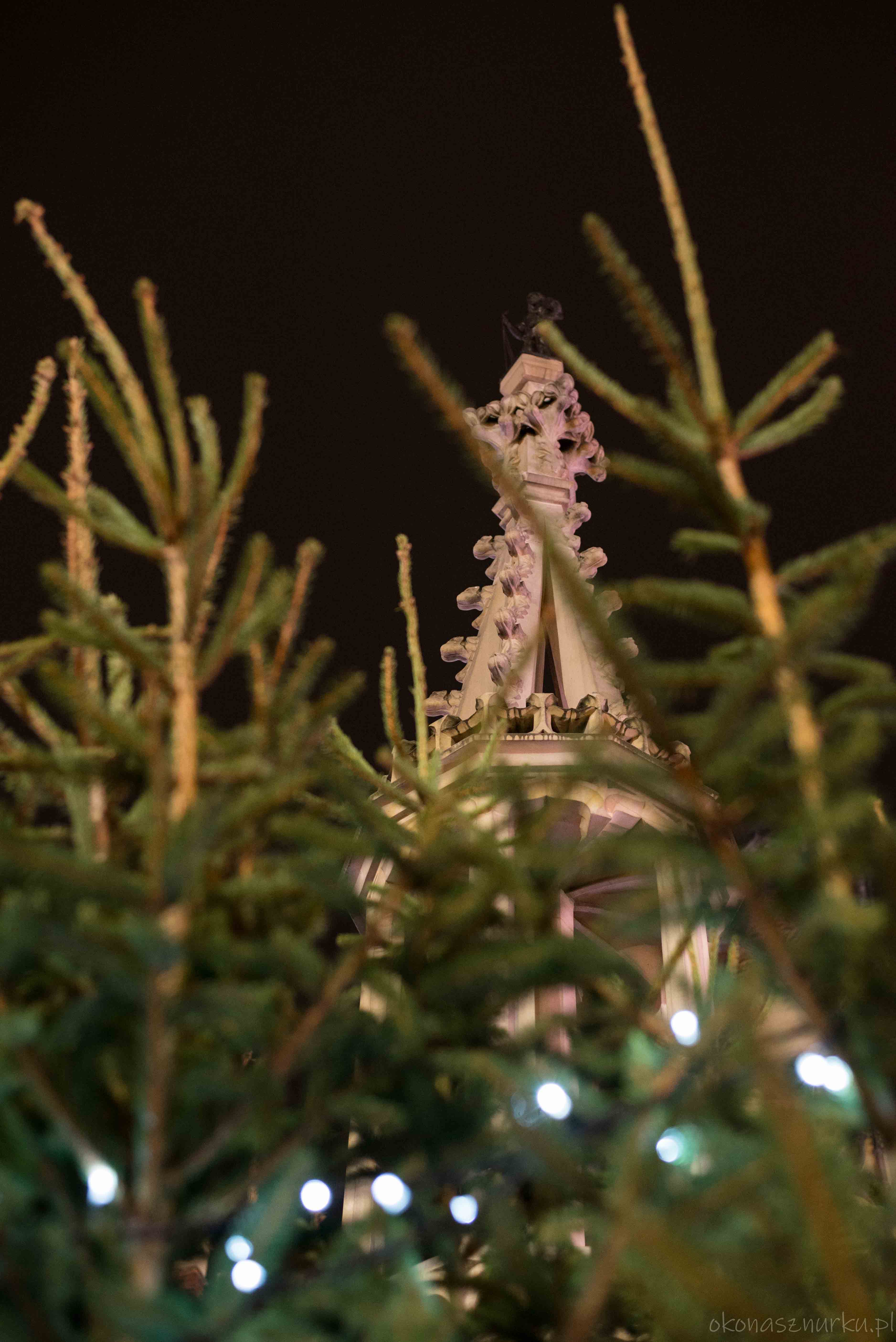 jarmark-bozonarodzeniowy-wroclaw-christmas-market-poland (110)