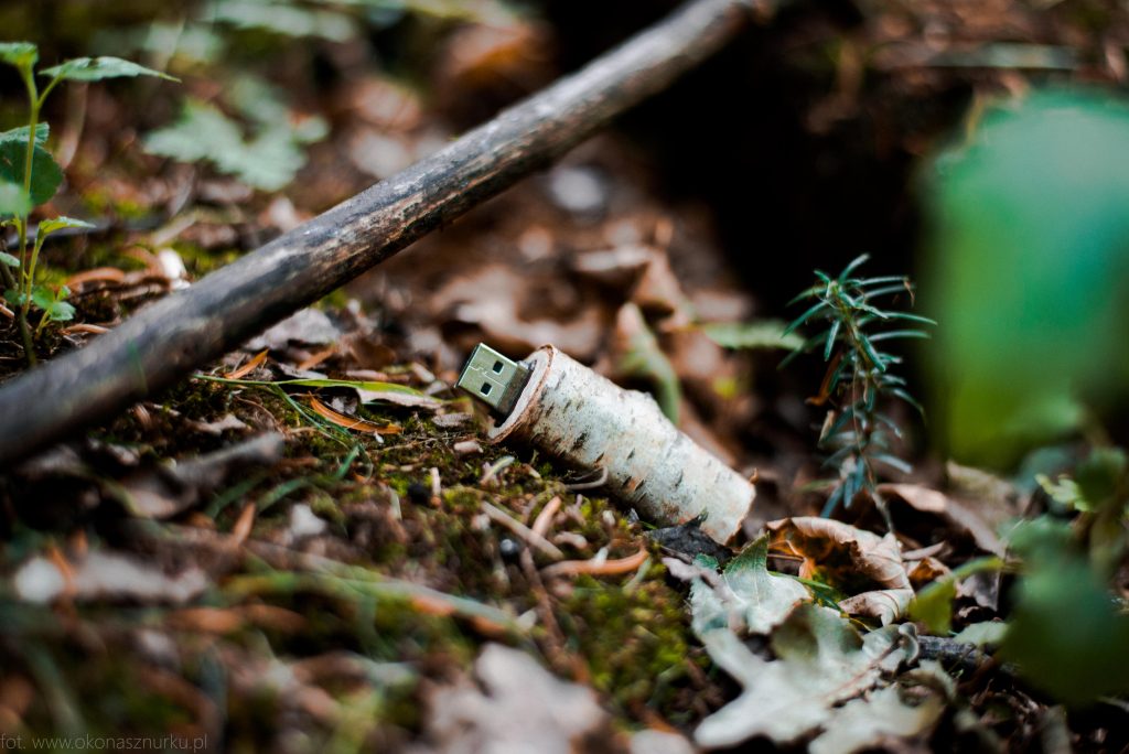 drewniane-pudelko-zdjecia-slubne-pendrive-patyk-las-wood-forest (1)